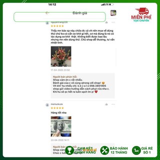 Bột ngâm COCO ROSE trị viêm,se khít