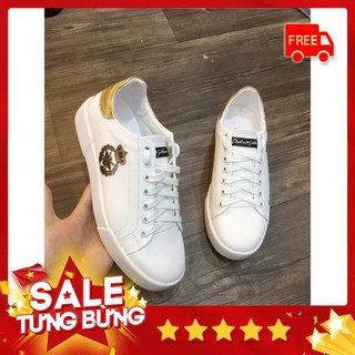 [Tặng quà] Giày Sneaker thời trang siêu cấp Dolce & Gabbana - Thái Sneaker