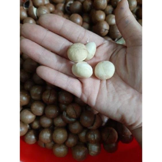 Hạt Macca Tây Nguyên Sấy Nứt Vỏ 500gr  - FREESHIP ĐƠN TỪ 50K