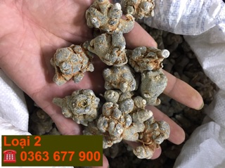 Củ tam thất ( 1kg ) uy tín chất lượng