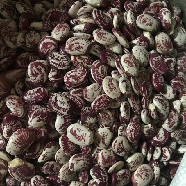 Đậu Ngự sạch 2kg