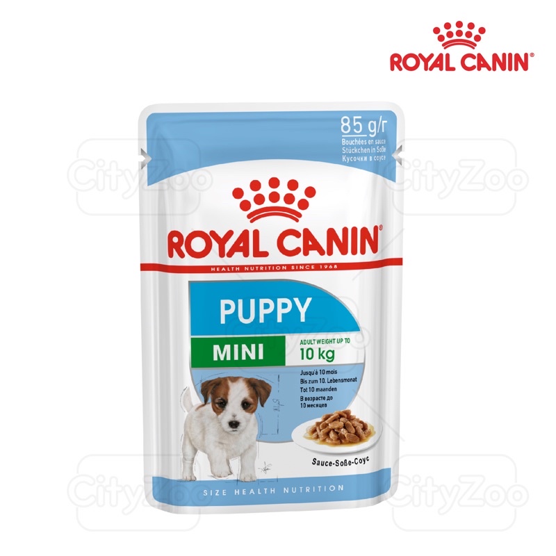 PATE ROYAL CANIN GÓI 85gr (Đủ loại)