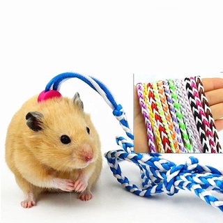 Dây dắt cho Hamster - thỏ - bọ - sóc
