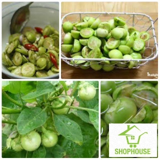 shophouse Gói 30 hạt giống cà pháo xanh  SHOP HOUSE  TẾT KHUYẾN MẠI