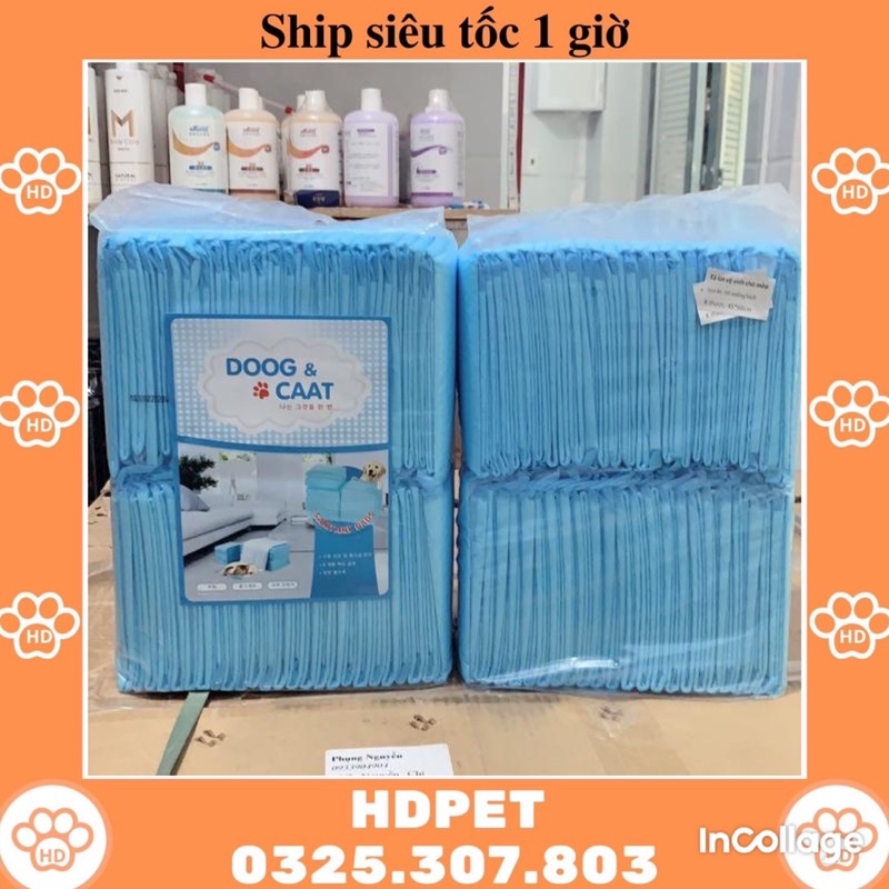 Tã Lót Chuồng - Tã Lót Vệ Sinh Cho Chó Mèo Miếng Lẻ