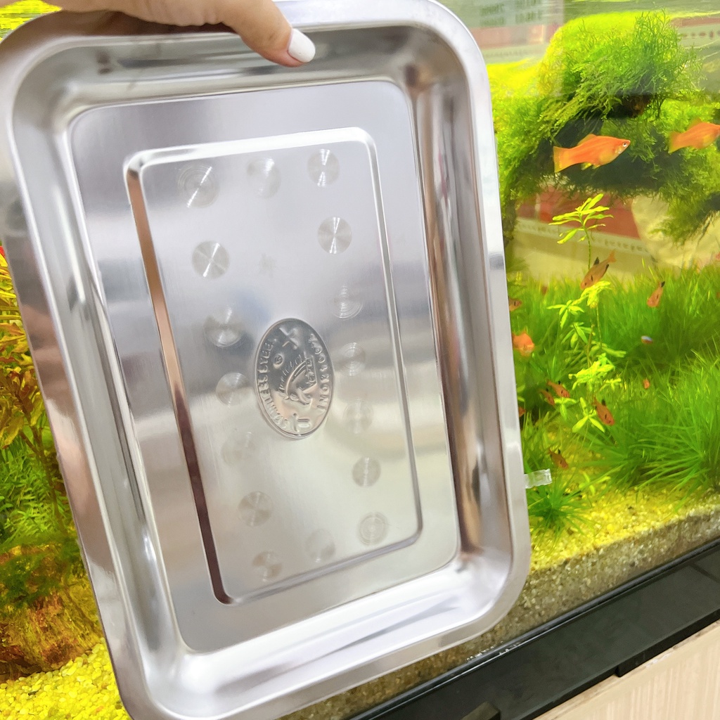 Khay inox chữ nhật cạn nhiều size - mâm inox chữ nhật đủ size