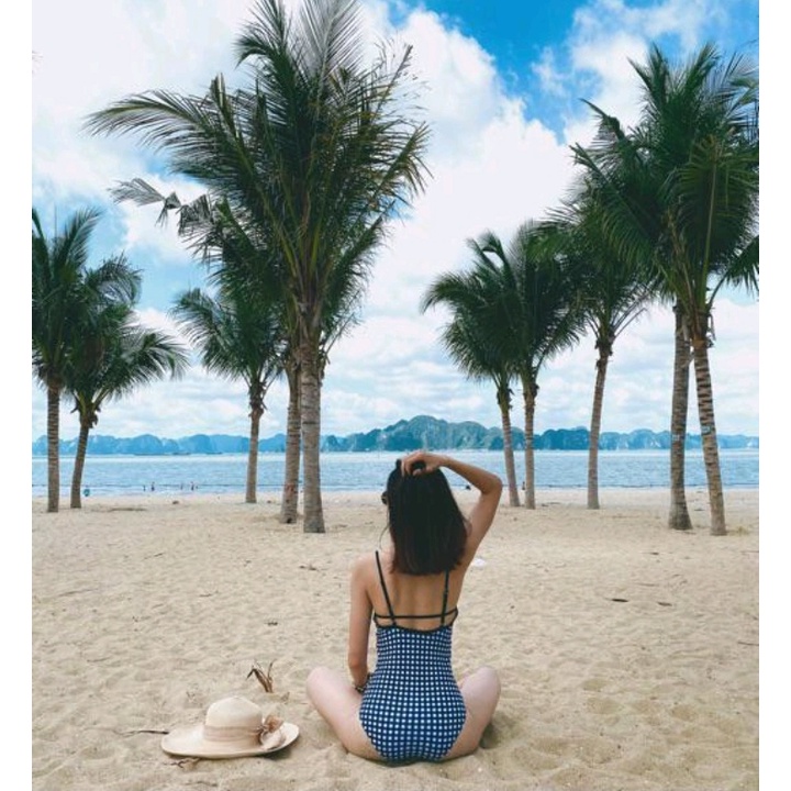 Bikini đi biển cao cấp 1 mảnh caro đen VATIXA BKN88