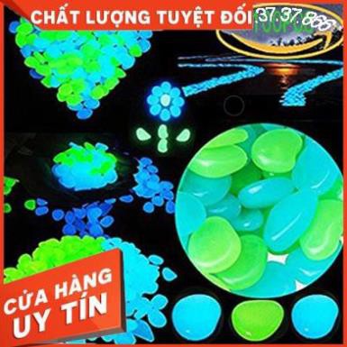 Set 50 đá dạ quang nhiều màu phát sáng trong đêm cho bể cá. Đá dạ quang 10/20/30/40/50 viên