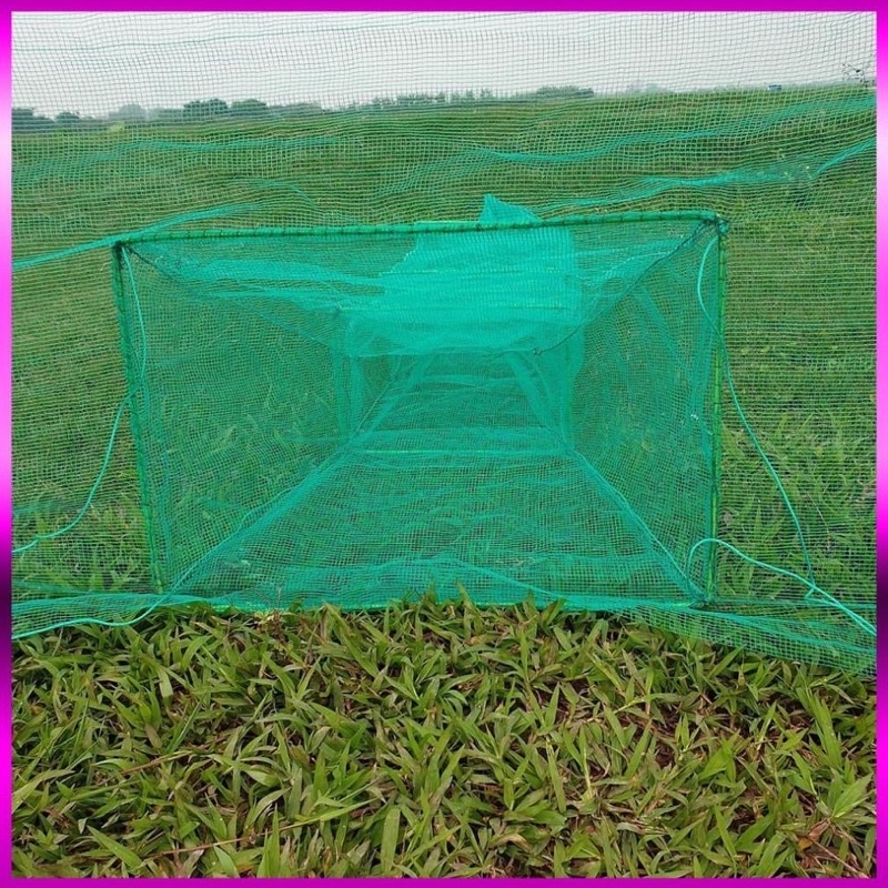 Lưới Đăng chặn sông, cống - bắt tôm tép tất cả các loại cá - Dớn bắt cá, cua, lươn - Đồ Câu Cá 68