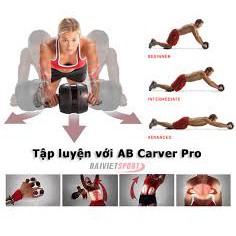 con lăn tập cơ bụng AB carver pro_Queensport