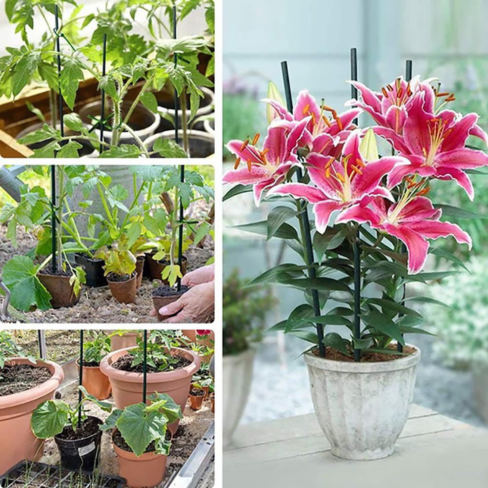 Que Gỗ Tre 40cm Chuyên Dụng Cho Trồng Cây Hoa