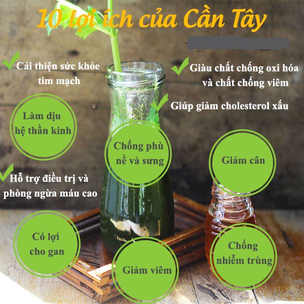 Bột cần tây Behena giảm cân giữ dáng, vòng eo thon gọn nguyên chất 100% - Hộp 50g