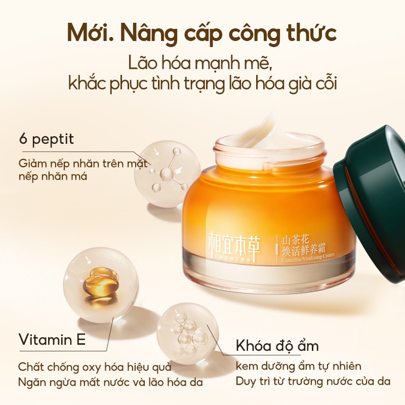 Kem dưỡng da INOHERB chiết xuất hoa trà trẻ hóa làm săn chắc làn da chống lão hóa 3g