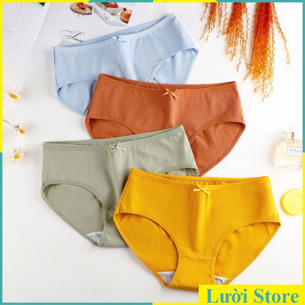 Quần Lót Cotton Basic Cạp Nơ ( 40-65kg) QL31 | BigBuy360 - bigbuy360.vn