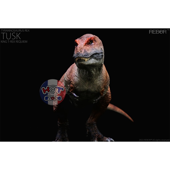 Mô Hình Khủng Long T-Rex Tusk Kiss REBOR tỉ lệ 1/35