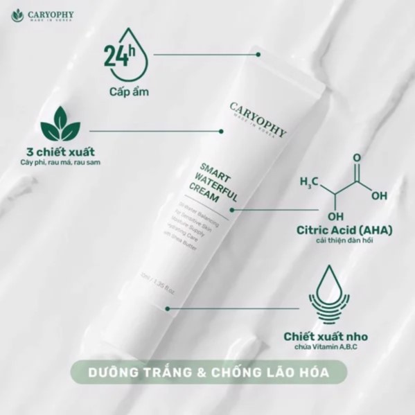 Kem dưỡng ẩm cấp nước và phục hồi da mụn Caryophy Smart Waterful Cream
