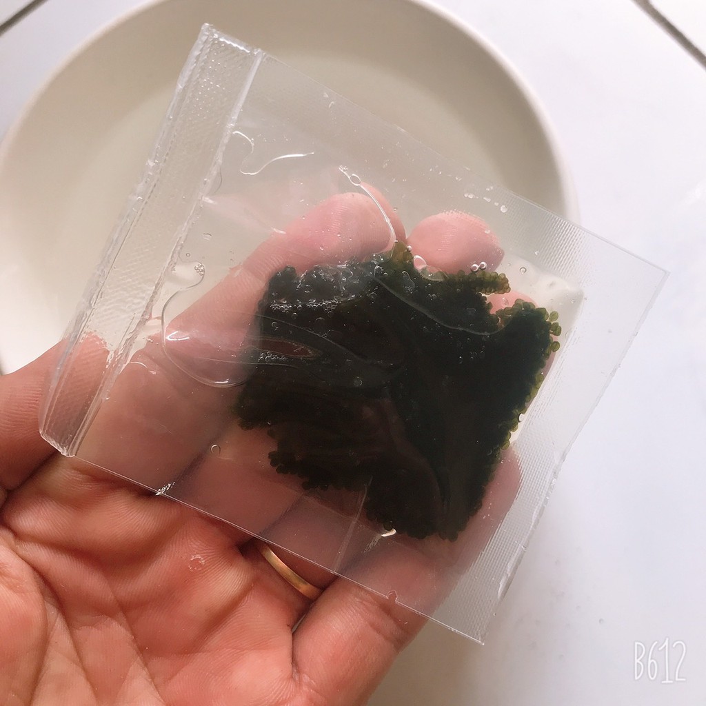 Rong Nho tách nước Gói 25gr - nở dc 60gr tươi - SEAWEED - kèm sốt mè | BigBuy360 - bigbuy360.vn