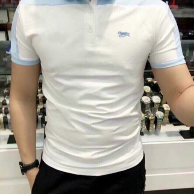🌺🍀ÁO THUN NAM PHỐI MÀU 🌺🍀