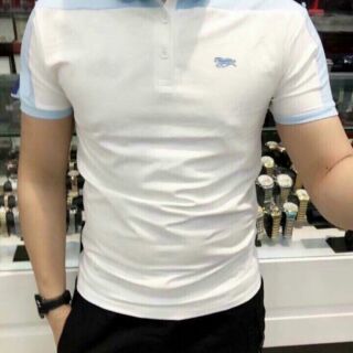 🌺🍀áo thun nam phối màu 🌺🍀