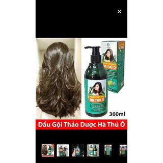 GỘI BỒ KẾT HÀ THỦ Ô