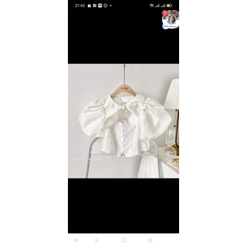 áo hàng shop live 143