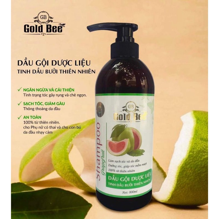 DẦU GỘI DƯỢC LIỆU GOLD BEE