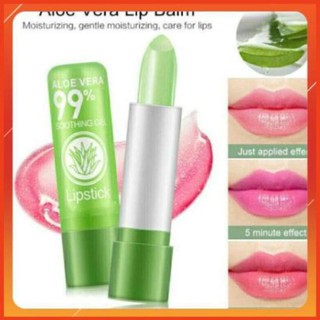 Son dưỡng lô hội mm1518