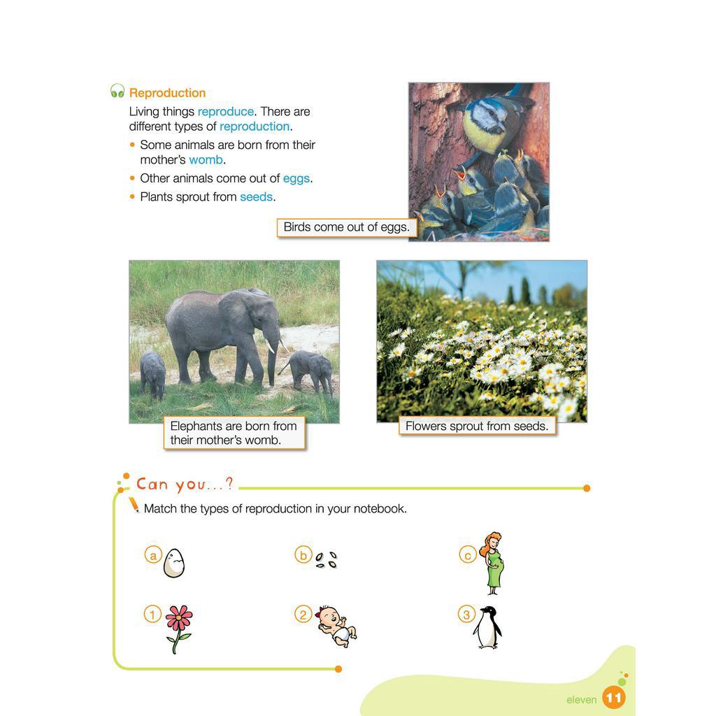 Sách - DTPbooks - i-Learn Smart Science 3 Student Book