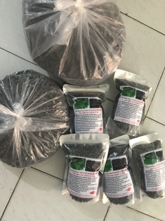 Chuối hột mồ côi 1 kg