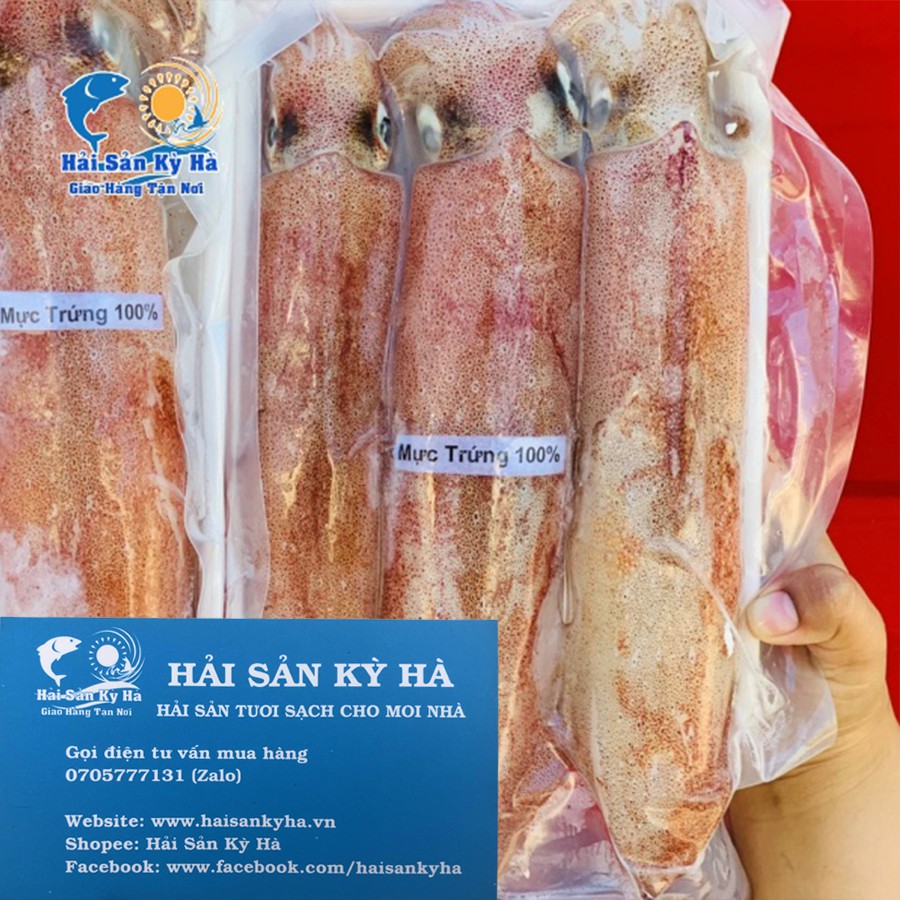 Giá Sỉ 1Kg Mực Trứng - Hải sản Kỳ Hà - Q12