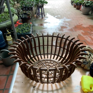 4 chậu nhựa  trồng lan màu  cafe bền đẹp giúp cây phát triển nhanh rễ khoẻ