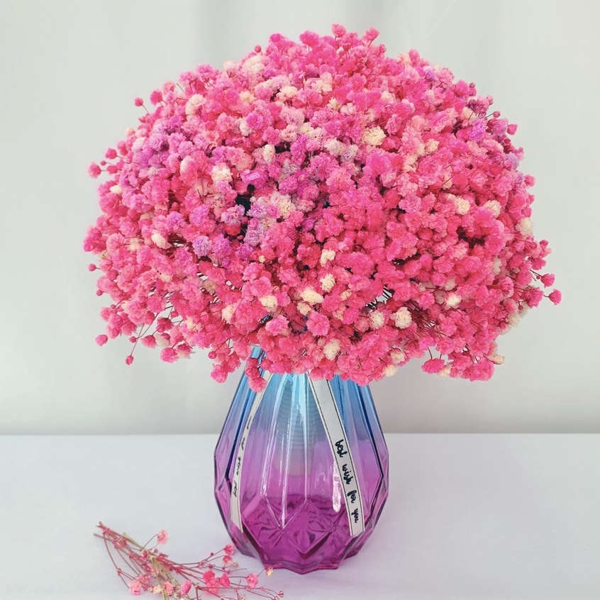 Set Lọ hoa baby khô trang trí nhà cửa, bàn làm việc, không gian sống, lọ thuỷ tinh kèm hoa baby khô đủ màu sắc phong pú