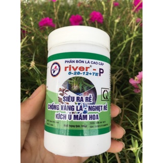 SIÊU LÂN - KÍCH RA RỄ CỰC MẠNH