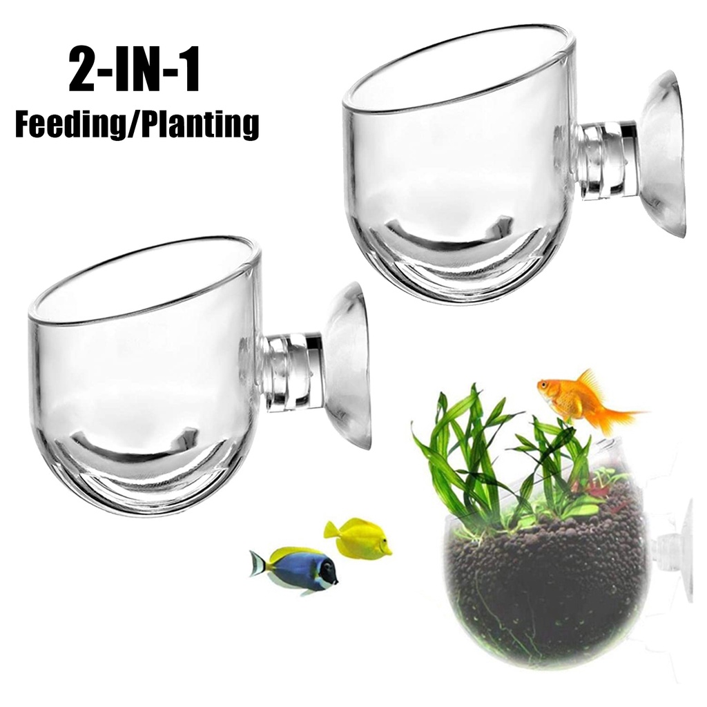 Chậu Trồng Cây Thủy Sinh Bằng Acrylic Trong Suốt Dạng Treo Trang Trí Bể Cá
