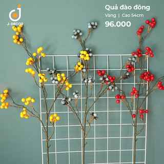 Cành quả đào đông