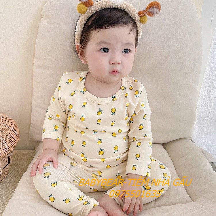 Bộ quần áo quần cạp cao thun cotton co giãn hàng Quảng châu xuất Hàn