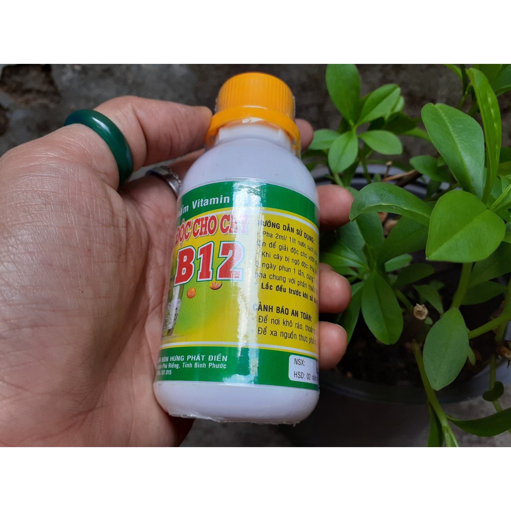 Chế phẩm Vitamin B12 chống sốc, giải độc cho cây - Chai 100 ml