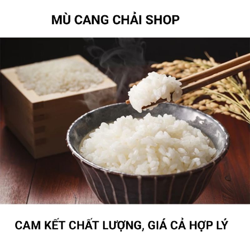 Hạt giống nếp Tú Lệ  Yên Bái túi 1kg
