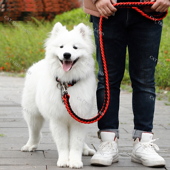 DÂY DẮT CHÓ MÈO KÈM VÒNG CỔ - DÂY XÍCH CHO THÚ CƯNG ĐI DẠO
