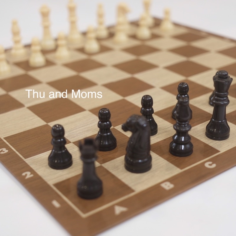 Cờ vua Spin Master  có thể gấp gọn