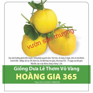 Gói 1g Hạt Giống Dưa Lê Thơm Vỏ Vàng Hoàng Gia 365 Rạng Đông, Trồng Quanh Năm, Trái Tròn, Chín Có Mùi Thơm