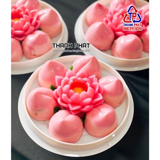 50 Hộp H25 thấp đựng bông lan trứng muối - Hộp đựng bánh 16cm loại thấp - Hộp đựng bánh thỏi vàng 16cm