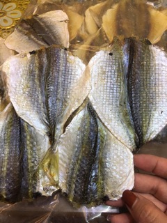 Cá chỉ vàng của khánh hoà
