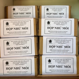 Hộp nhử mối tiêu chuẩn