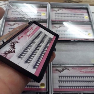 Mi chùm hồng 8-12cm