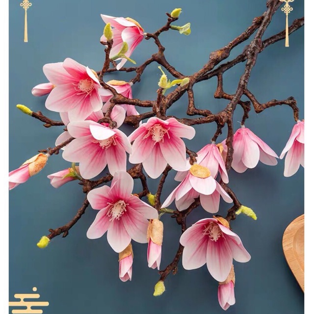 Cành Mộc Lan cổ 60cm - HN