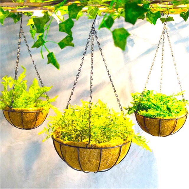 Bán Chậu xơ dừa, chậu treo xơ dừa, chậu xích treo (fi:30x30) - Coir pots, coir hanging pots, hanging chain pots (fi: 30x