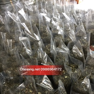 Chè vằng sẻ Nghệ An