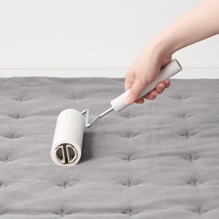 Cây Lăn Bụi Thảm MUJI