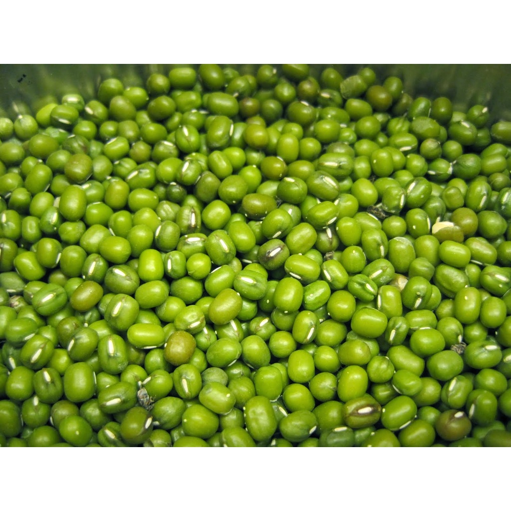 Đậu xanh/ Đậu gà/ Đậu đen lòng xanh/ Đậu xanh/ Đậu tương